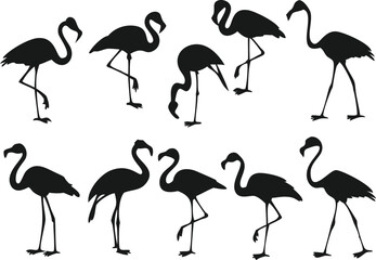 A collection of black silhouette flamingo designs on a white background. © zahidID: #10462466
