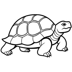 Elegant Tortoise Outline Illustration