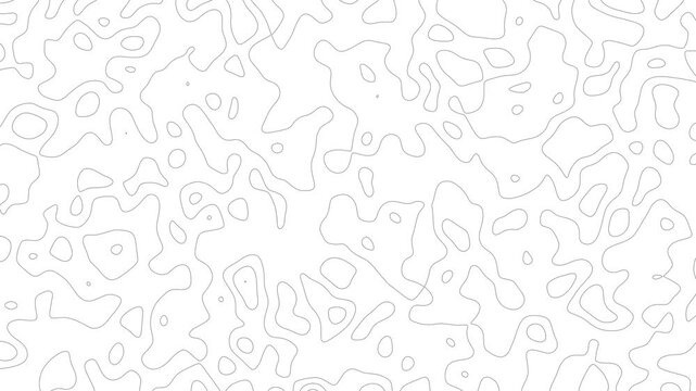 Abstract topographic contour map motion 4k background animation video