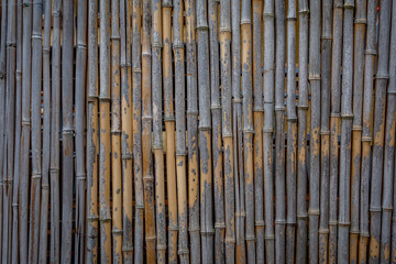 Zaun aus Bambusstangen
