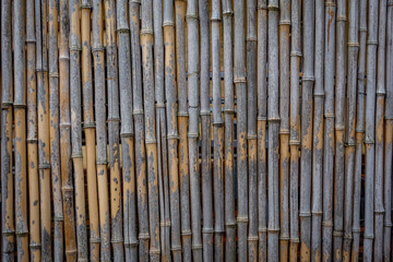 Zaun aus Bambusstangen