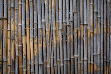 Zaun aus Bambusstangen