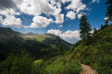 Naklejka premium nature sceneries along the Monzoni Valley, Dolomites, Val di Fassa, Italy