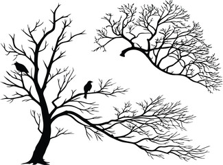 Silhouettes of bare trees and birds in winter