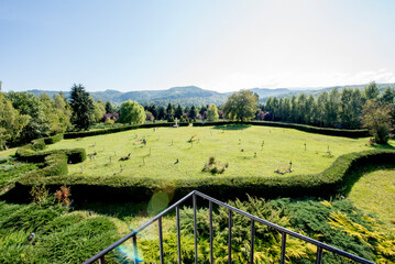 Fototapety na wymiar - Fototapeta24.pl