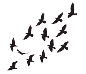 Fototapeta premium Flying Birds Silhouettes - Vector Illustration on White Background