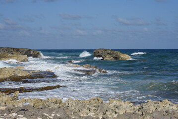 Küste Cozumel