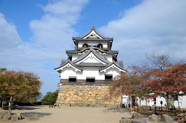 Fototapeta premium 彦根城 天守閣