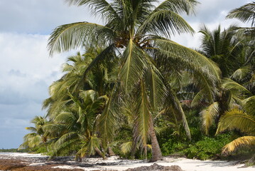 Strand Cozumel