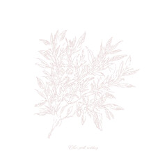 Greek Vineyards landscapes sketched abstract digital illustration