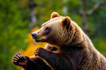 Grizzly Bear with Vibrant, Rich Fur Colors Gracefully Moving Through a Blurred Forest, Capturing Its Majestic Presence, Vibrant Wallpaper