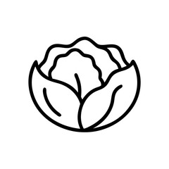 Cabbage 