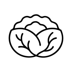 Cabbage 