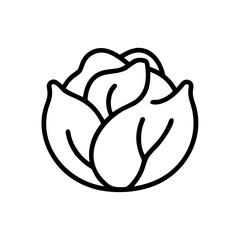Cabbage 