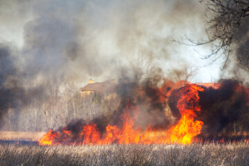 Obraz premium March marsh fire in Wisconsin: March 9 2025 in Brookfield, Wisconsin. Difficult terrain and windy conditions made fire fighting conditions difficult. Homes and businesses were threatened.