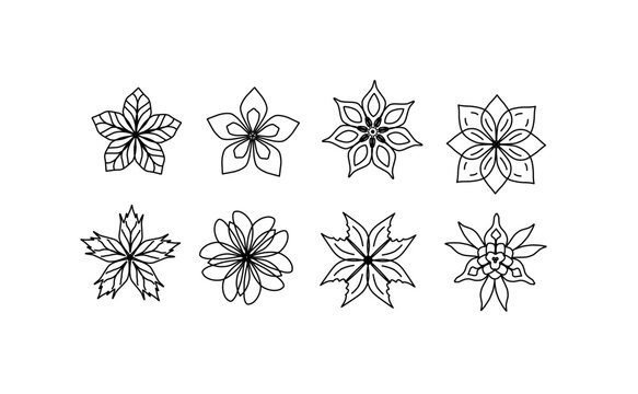 Symmetrical Flower Vector Patterns for Logos and Decor

