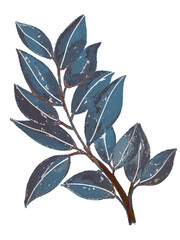vector illustration of a leaf