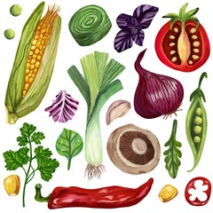 Set of vegetables on isolated white background. Digital art, oil imitation. Autumn harvest, healthy food.