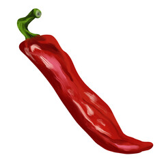 Chilli pepper isolated on white background. Digital art, oil imitation. Autumn harvest, healthy food.