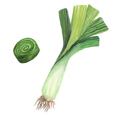 Leek on isolated white background. Digital art, oil imitation. Autumn harvest, healthy food.
