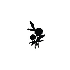 Flower silhouette 