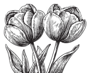 Detailed floral design featuring engraved tulips for a classic look