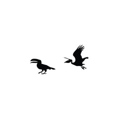 Animals  silhouette 