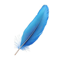 Single blue feather with fine details, isolated on white background .