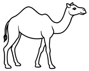 Fototapeta premium Camel silhouette, line art , vector illustration on white background.