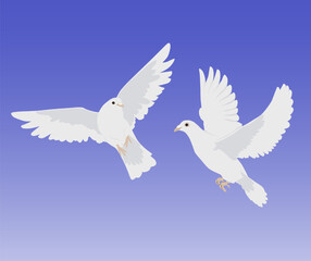 two pigeons flying together in the blue sky vector illustration