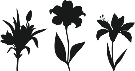 set of distinct flower silhouettes – a bouquet, a single flower, and a larger blossom – set against a clean white background.