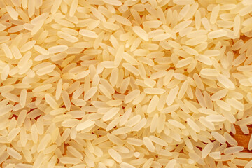 Steamed raw rice , macro, top view.