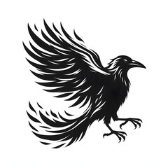 This is a beautiful black and white crow.