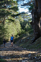 Obraz premium Mother teaches her son to follow a route through the forest with a smartphone