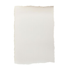 Blank torn edge paper sheet with a textured surface. The irregular edges create a rustic look, perfect for creative projects, stationery, or vintage designs. Isolated on transparent background, png.
