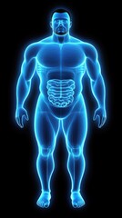 Human Body X-ray Anatomy view of digestive system, for health, science, and education purposes