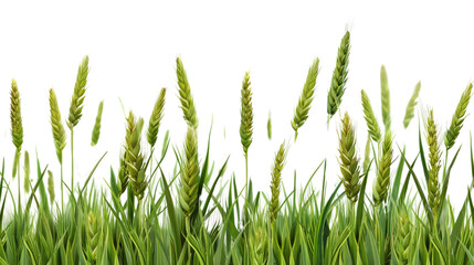 Fototapeta premium Serene Meadow Whispers: A vibrant close-up showcasing lush green grass. The detailed depiction invites an intimate encounter with nature's beauty, perfect for illustrating themes of sustainability.
