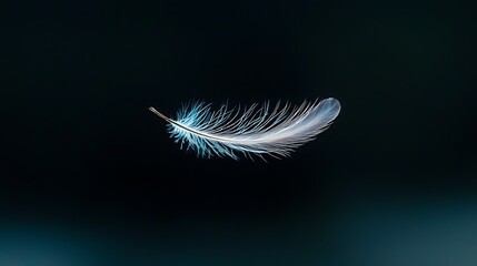 Single feather against dark background