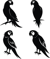 Parrots Vector Silhouette Art and Illustration
