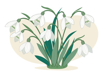 A white flower with green leaves is the main focus of the image