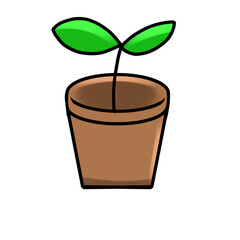 plant in pot