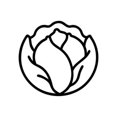 Cabbage 