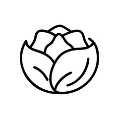 Cabbage 