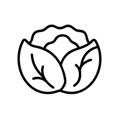 Cabbage 