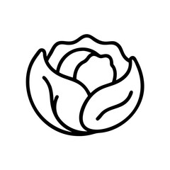 Cabbage 