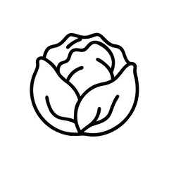 Cabbage 
