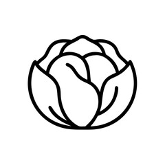 Cabbage 