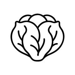 Cabbage 