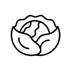 Cabbage 