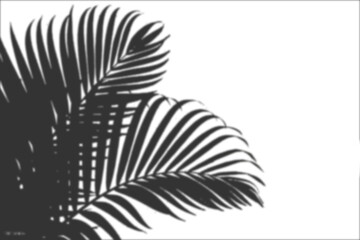 a minimalist and artistic representation of palm leaves, A leaf shadow